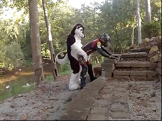 Husky Humps A Biker fursuits fetish amateur